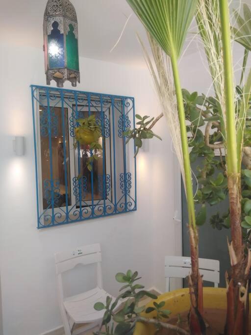 Cosy Appartement In "Sidi Bou Said" المظهر الخارجي الصورة