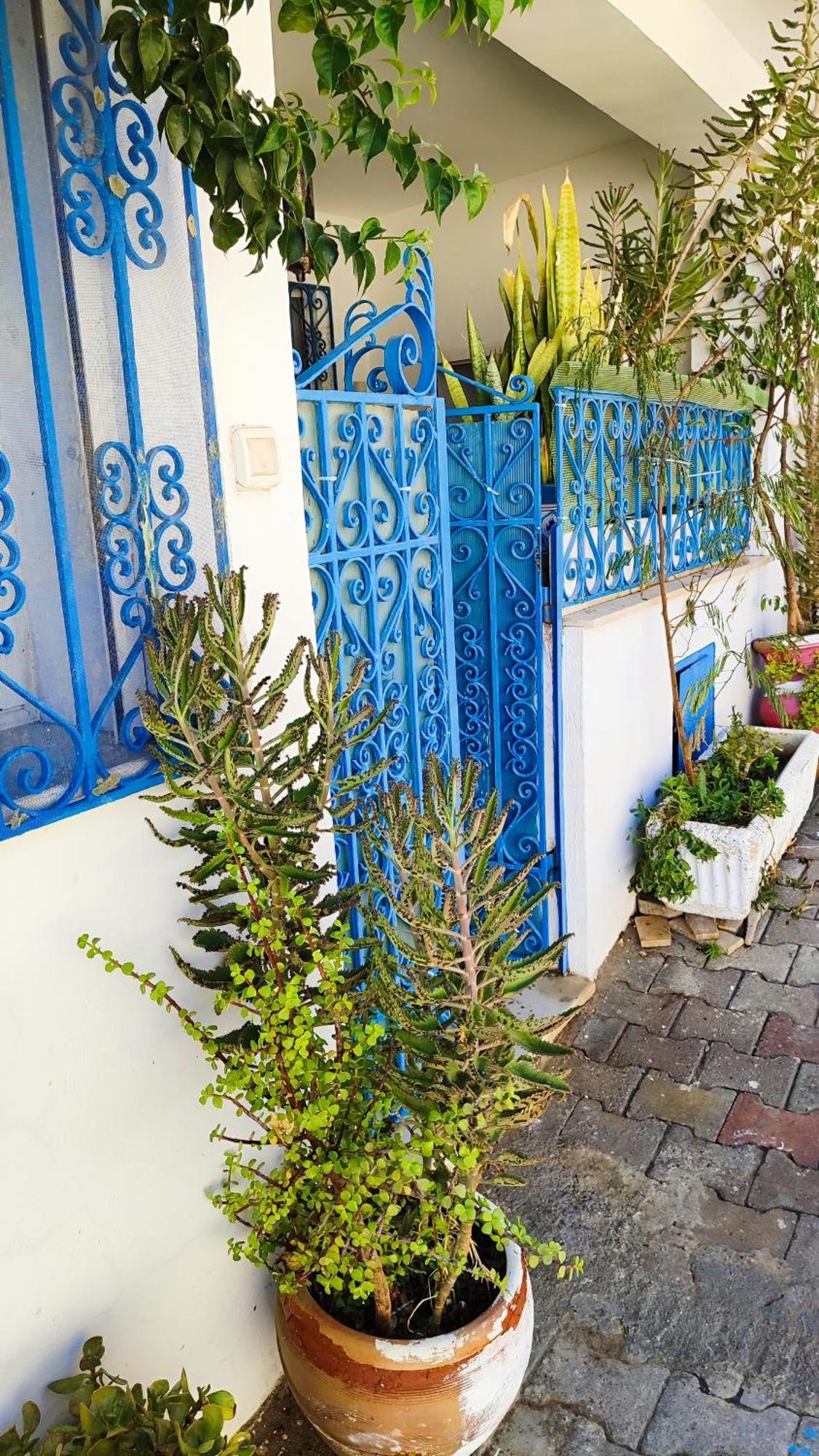 Cosy Appartement In "Sidi Bou Said" المظهر الخارجي الصورة